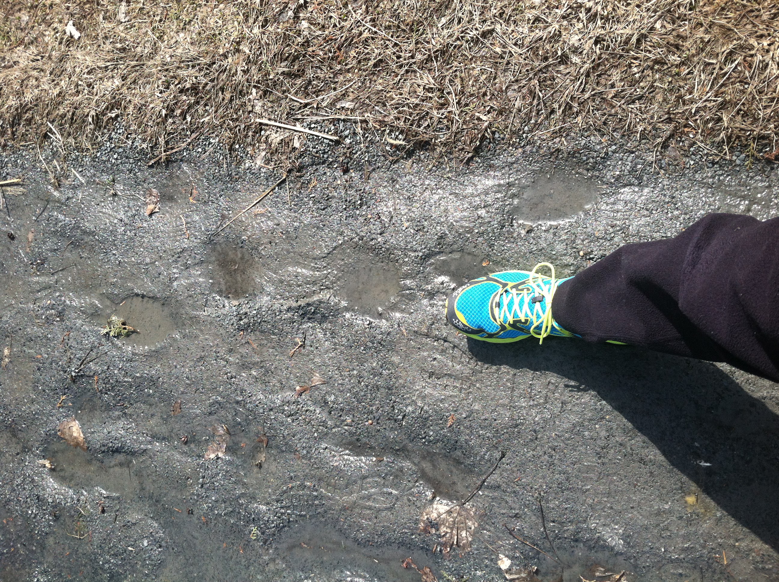 Not mud…